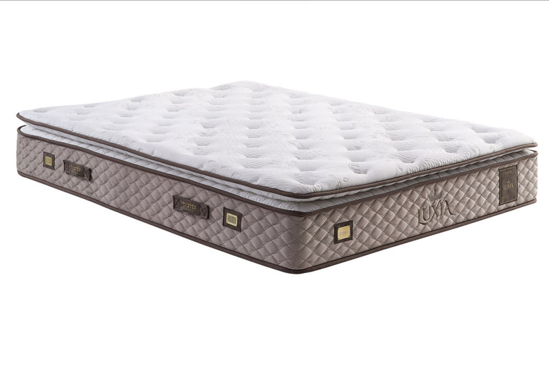 BAMBI LUXIA Lit coffre, Tête de lit et Matelas Durabilité et Confort Tout-en-un