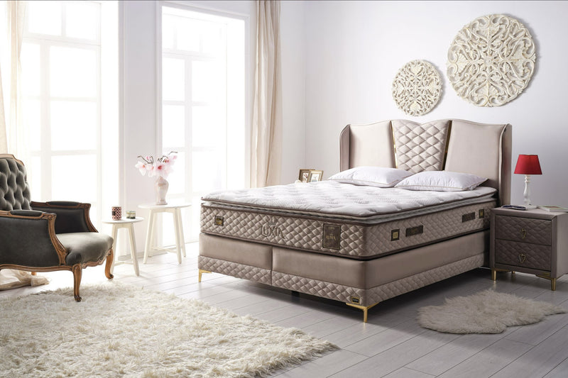 BAMBI LUXIA Lit coffre, Tête de lit et Matelas Durabilité et Confort Tout-en-un